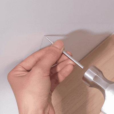 Σάρα, Μπολόνια